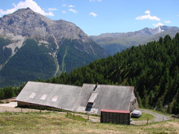 Alp Es-Cha Dadour Bed & Breakfast Madulain Exterior photo